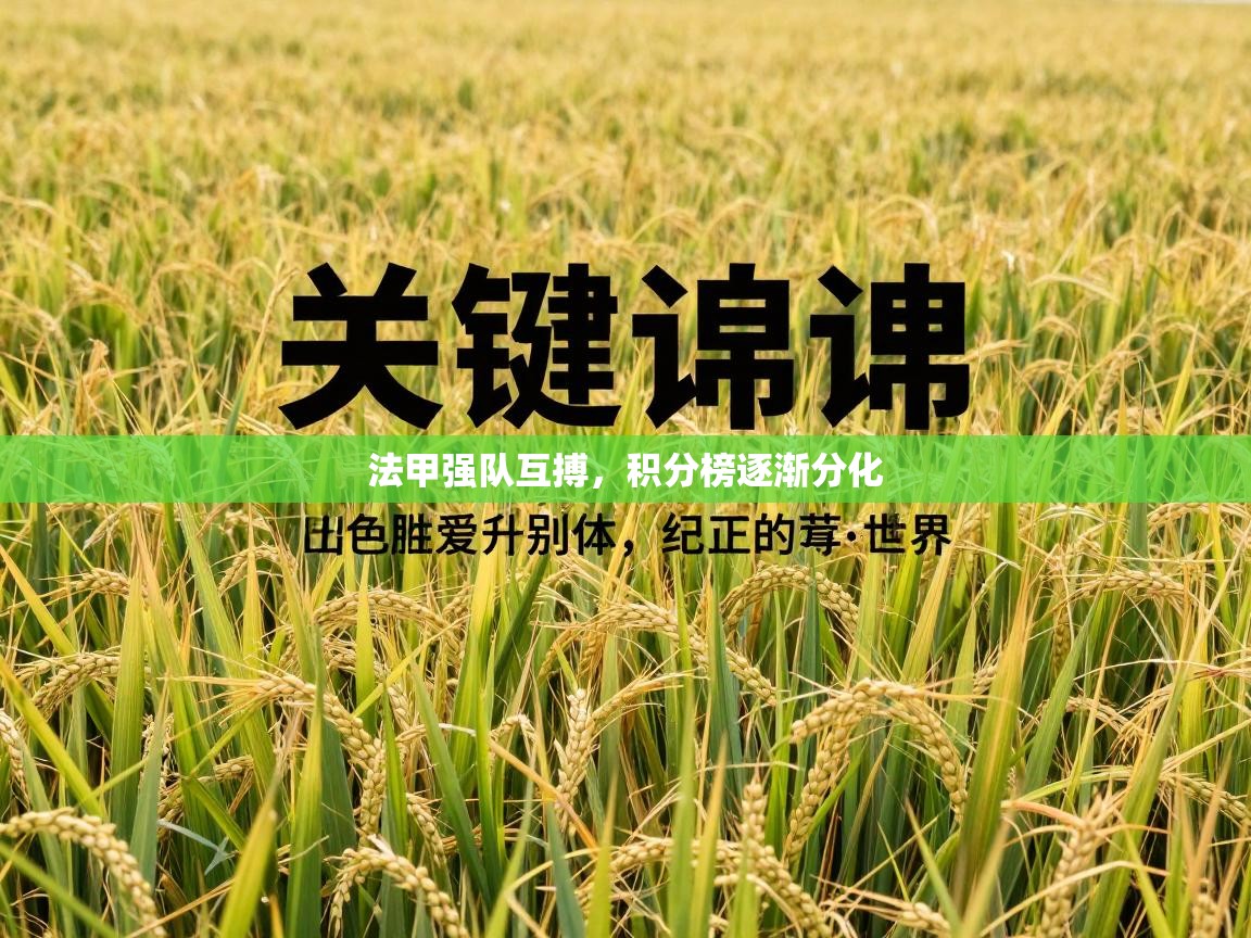 法甲强队互搏，积分榜逐渐分化  第2张