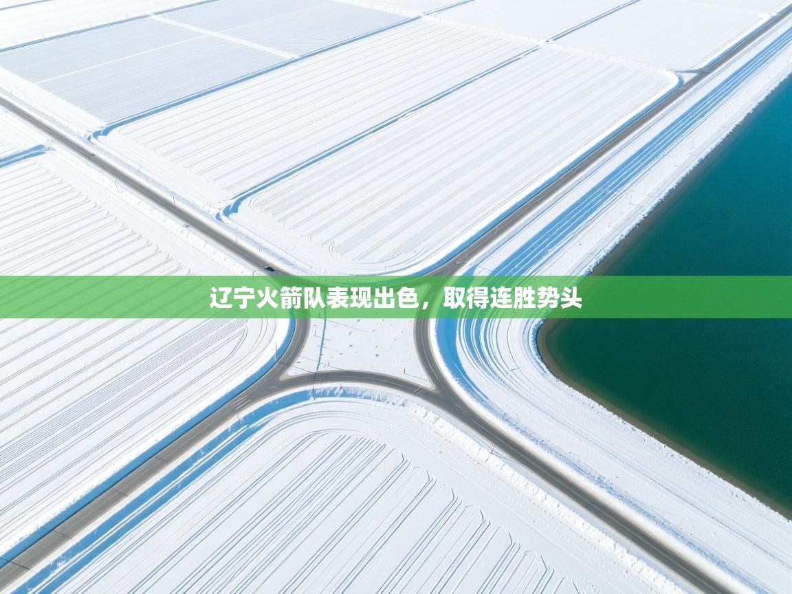 辽宁火箭队表现出色，取得连胜势头