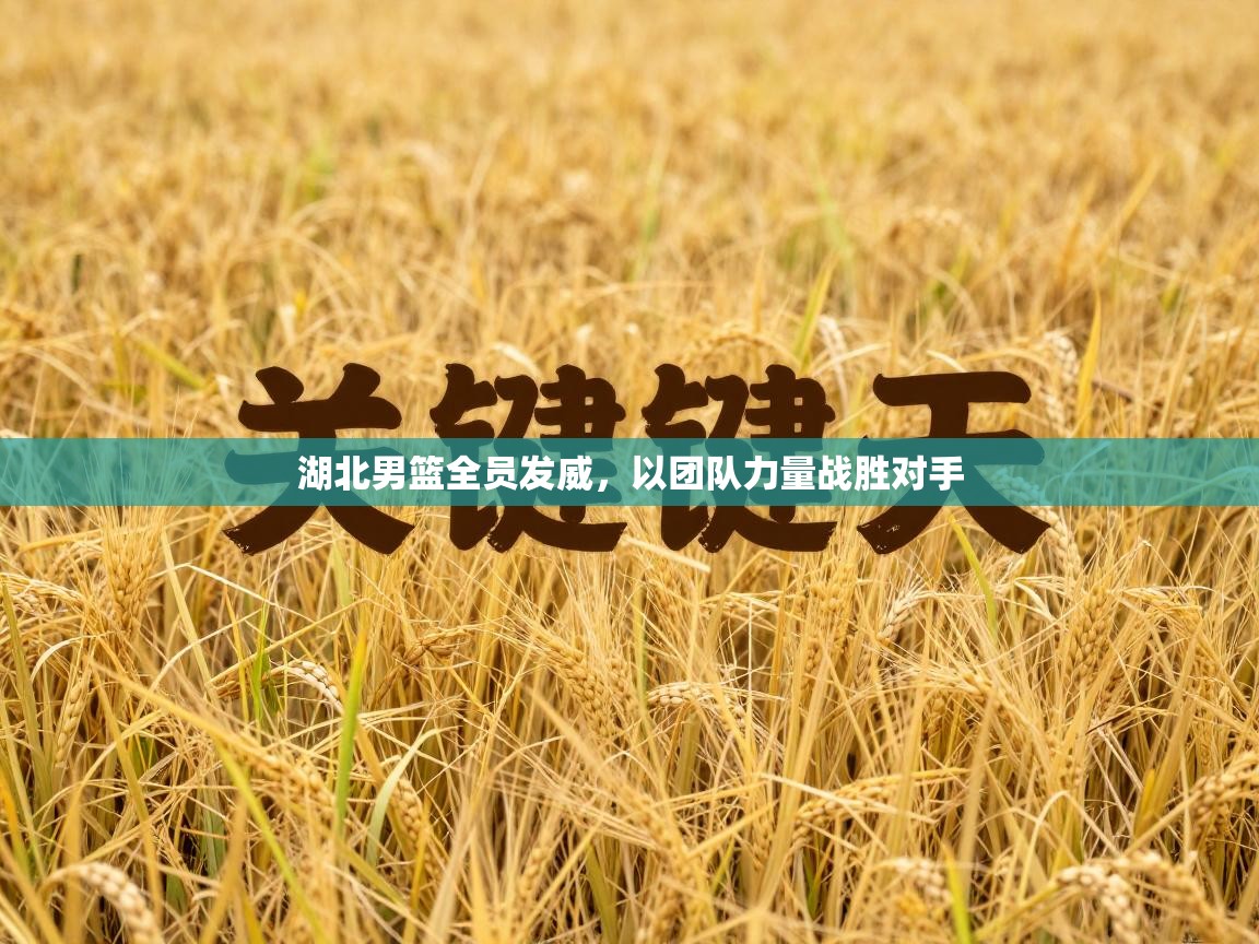 湖北男篮全员发威，以团队力量战胜对手